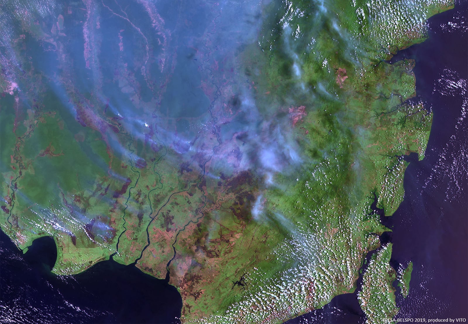 PROBA-V 100 m image of Borneo, Indonesia-min