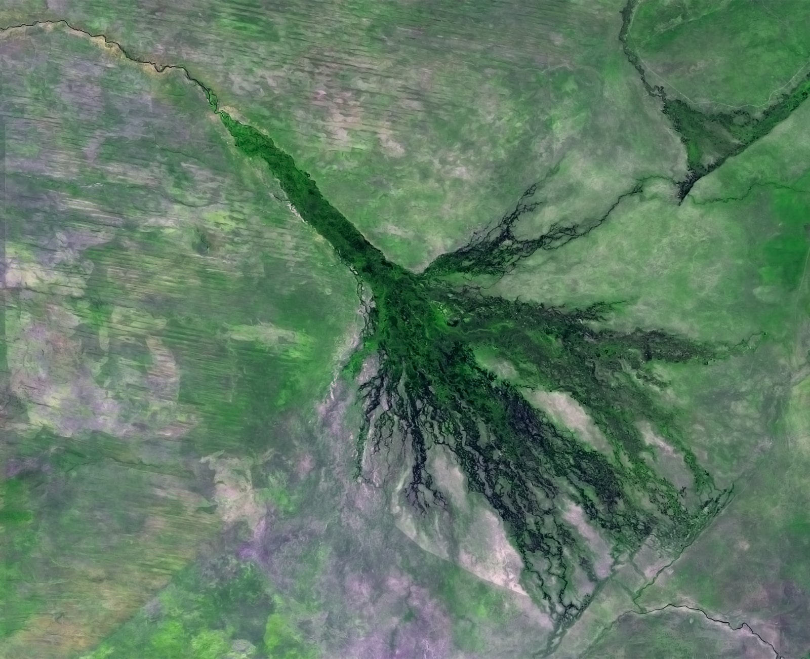 PROBA-V 100 m image of the Okavango Delta, Botswana-min
