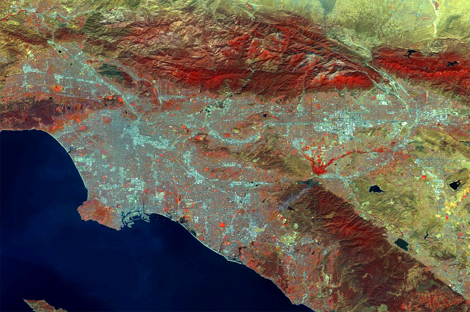 PROBA-V 100 m image of Los Angeles, California