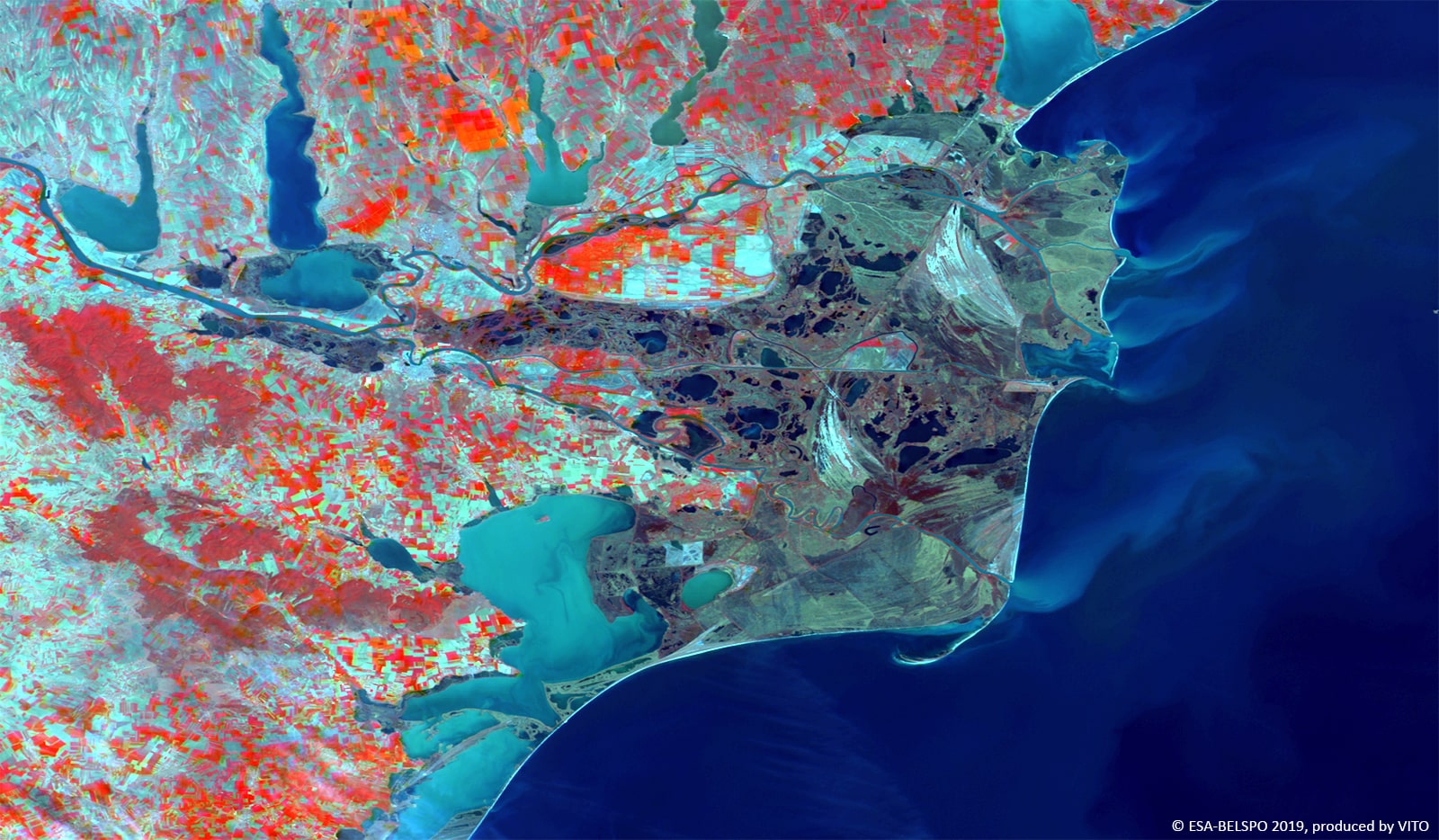 PROBA-V 100 m image of the Danube Delta, Romania